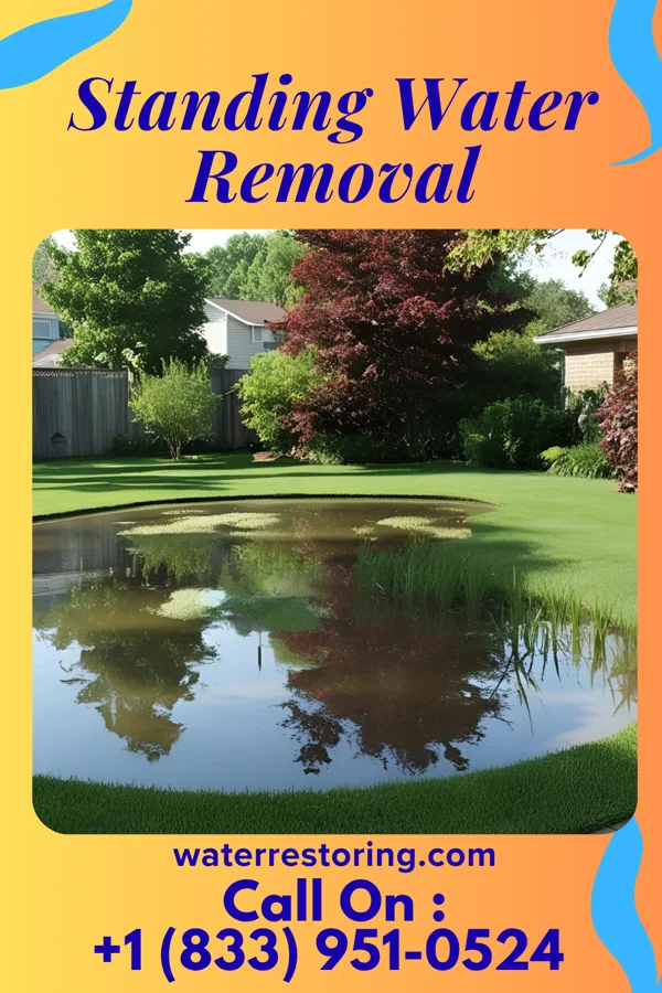 Standing Water Removal in Lynchburg, OH